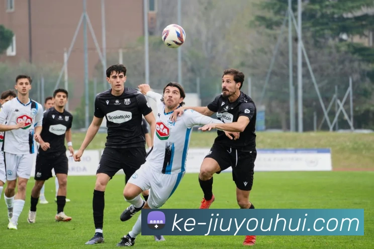 九游会官网平台生态图